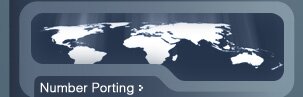 Number Porting
